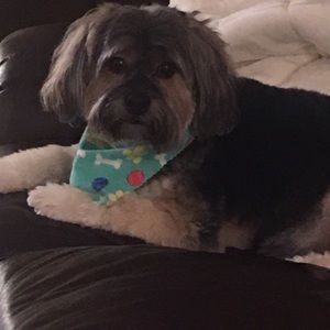 Meet your Posher, Cindy